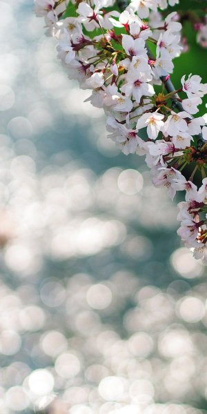 Природа оживает весной
