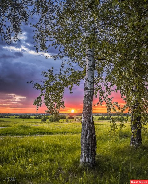 Красивая русская природа