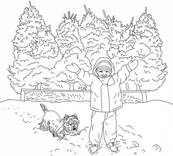 Зимний лес раскраска
