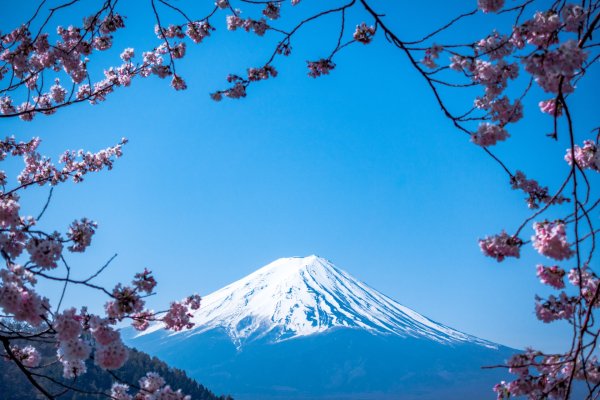 Киото природа
