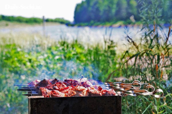 Шашлыки на природе