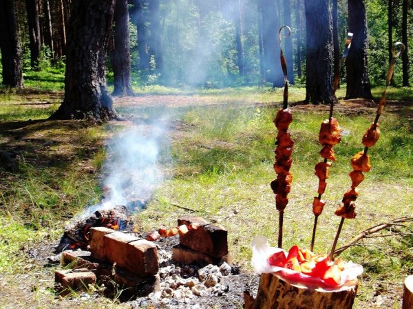 Шашлыки на природе