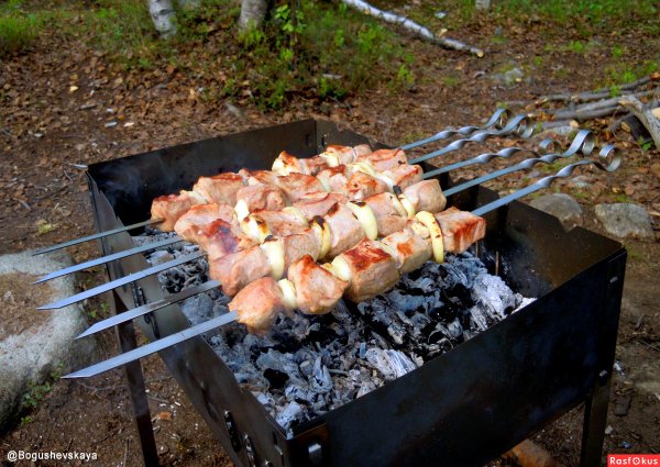 Шашлыки на природе весной
