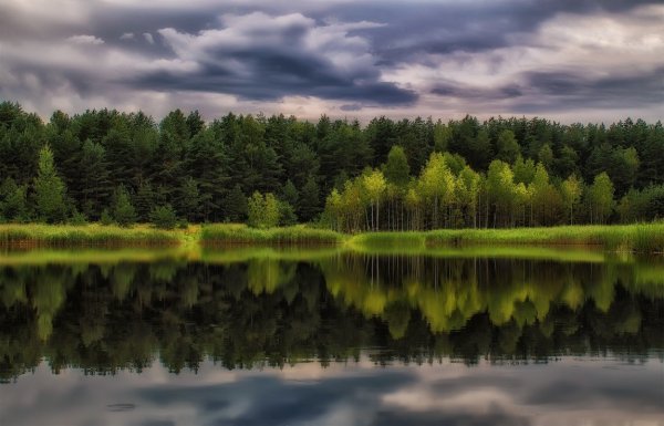Белоруссия природа