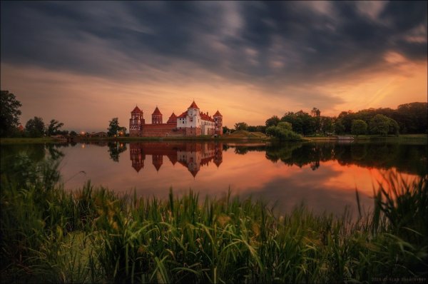 Беловежская пуща Гродненская область