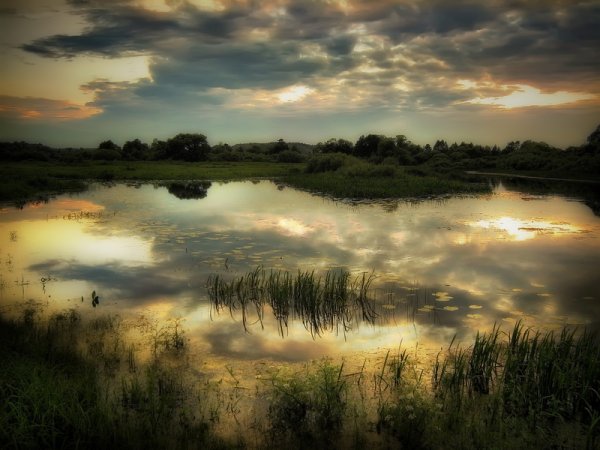 Белорусский фотограф, природа