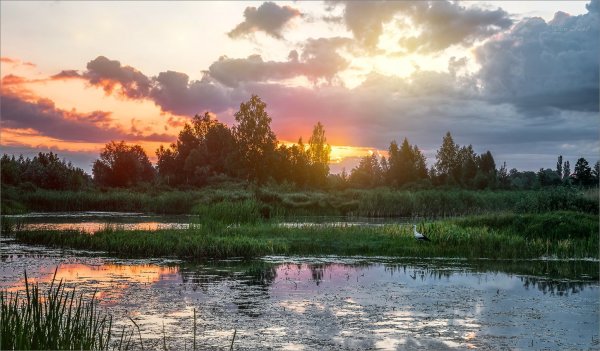 Реки Полесья