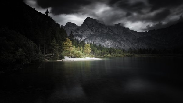 Лес горы
