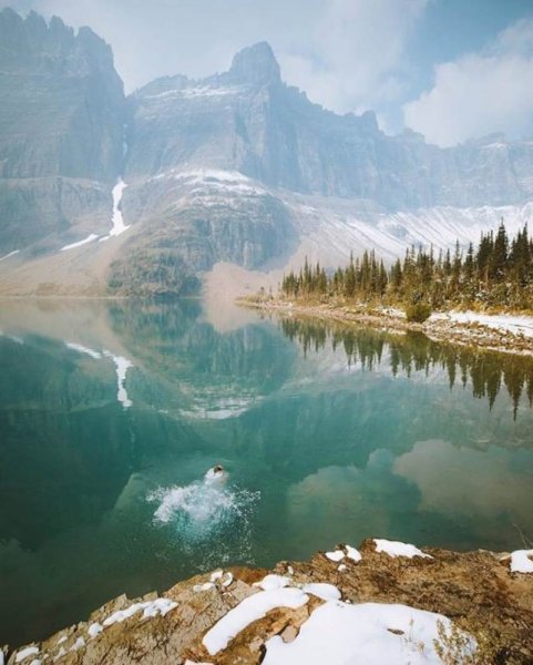 Хусейна Шахина фотограф