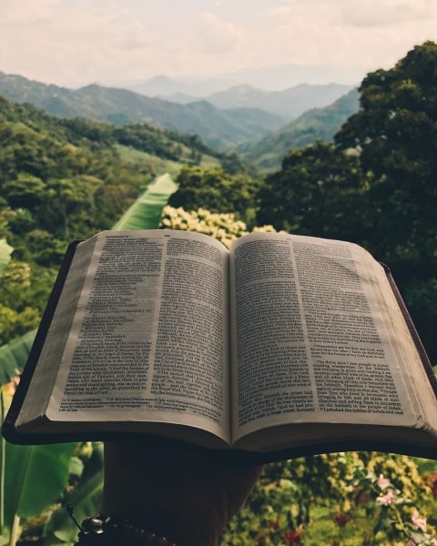 Книжный пейзаж