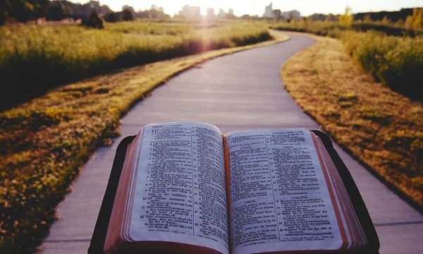 Раскрытая книга