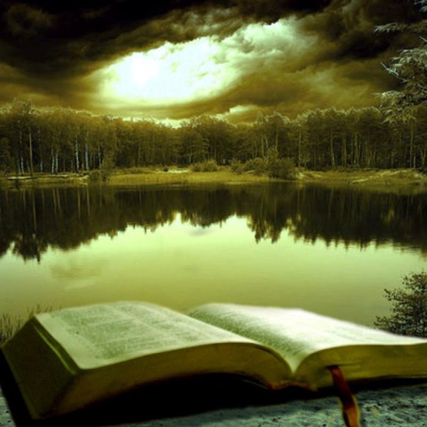 Книга природа