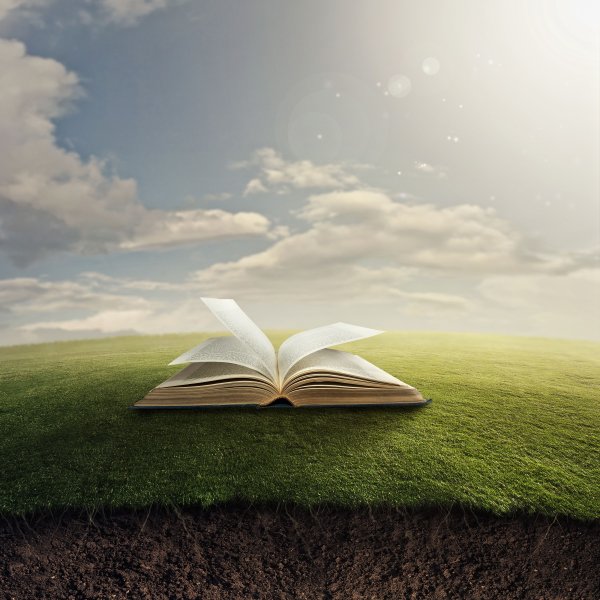 Книга для…