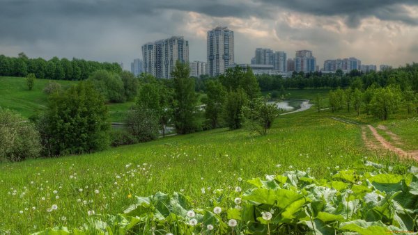 Природа Москвы