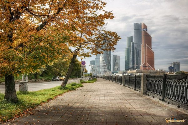 Москва Сити Сити осень
