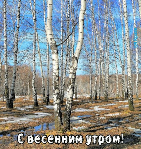 Ранняя Весна