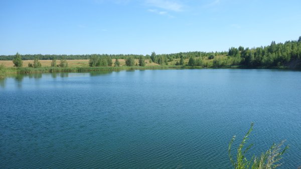 Картина на тему звучащая природа