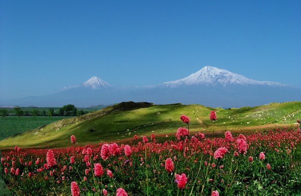 Гора Масис Армения