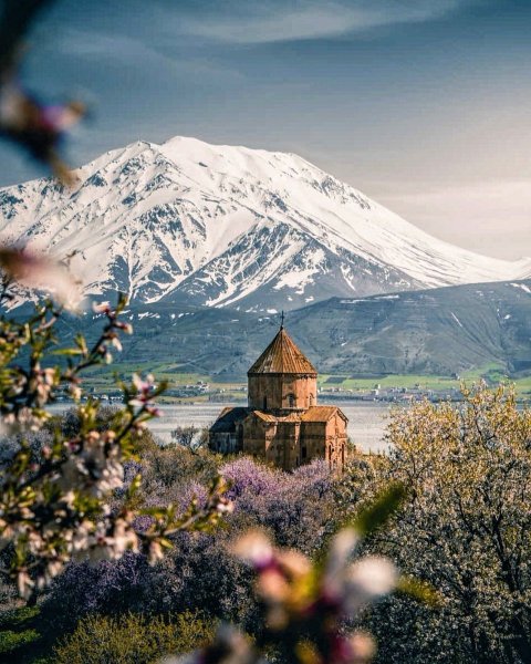 Армения Арарат весной
