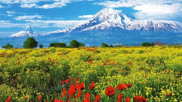Армения Арарат монастырь хор Вирап