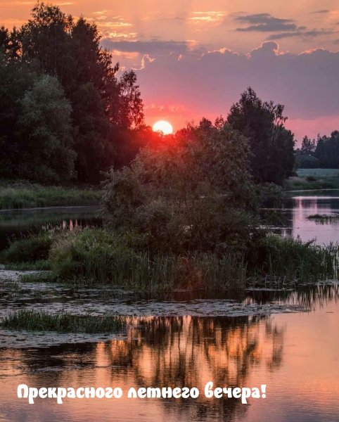 Летний закат