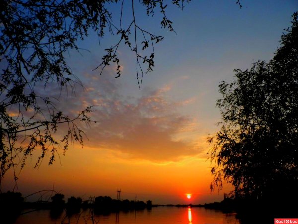 Вечер природа красота