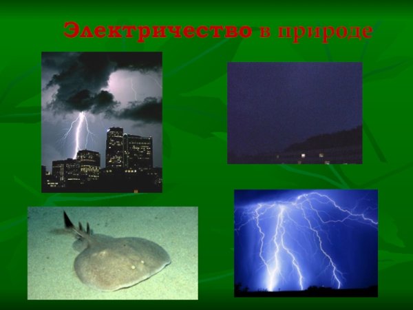 Электричество в природе презентация