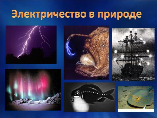 Электрические явления в природе