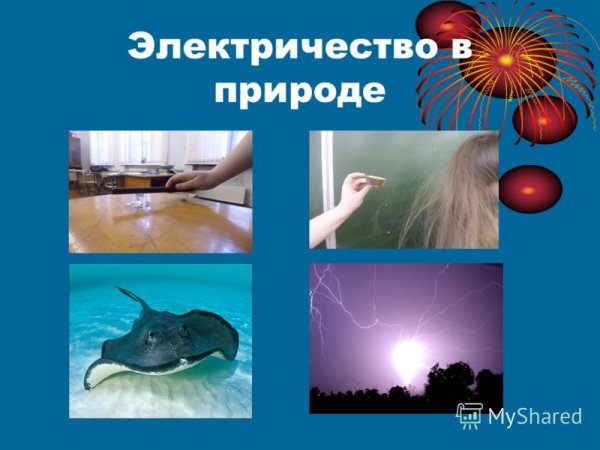 Электричество в живой природе