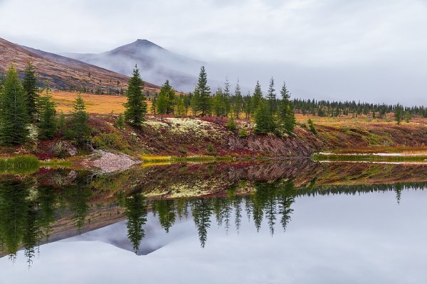 Природа Якутии Сардаана сибэкки