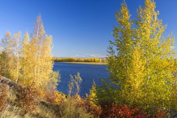 Река Лена пейзажи Якутии