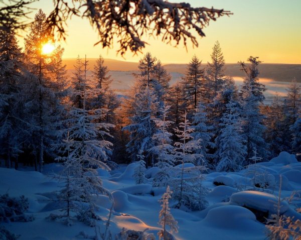 Природа Якутии