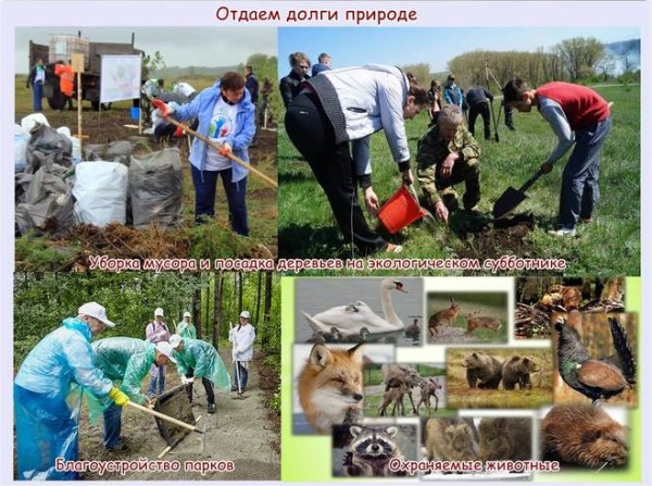 Плакат на тему отдаем долги природе