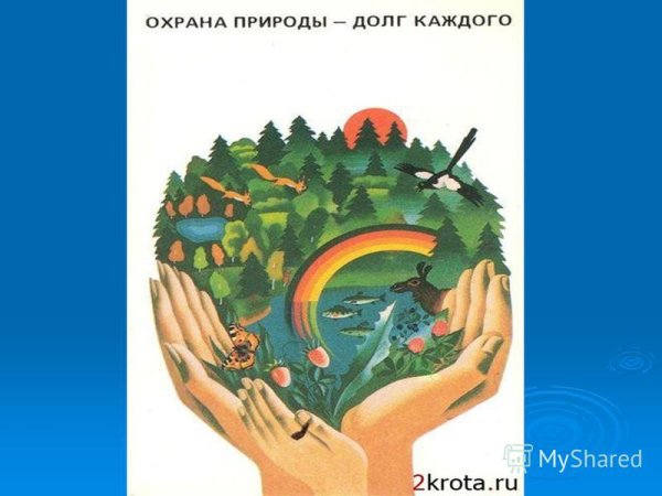 Охрана природы долг каждого