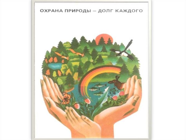 Охрана природы наш долг