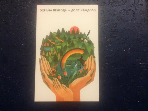 Защита природы долг каждого человека