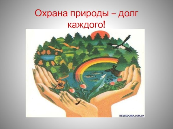 Охрана природы долг каждого человека