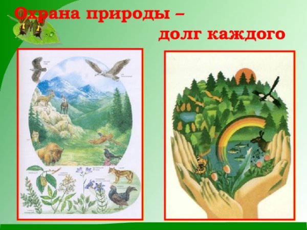 Охрана окружающей среды Краснодарского края кратко