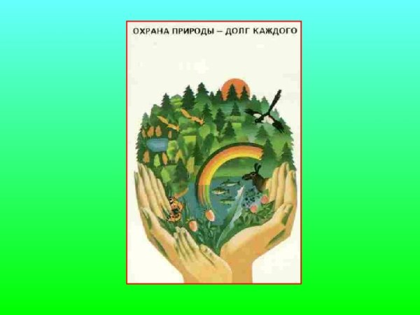 Сохранение природы долг каждого