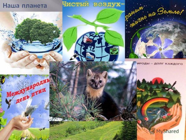 Долг человека охранять природу
