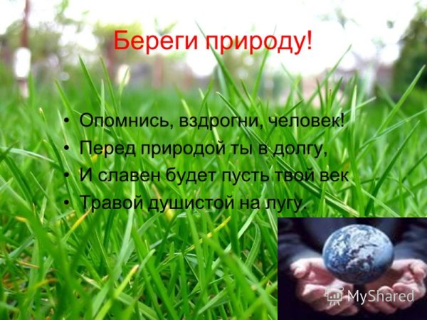 Плакат береги природу