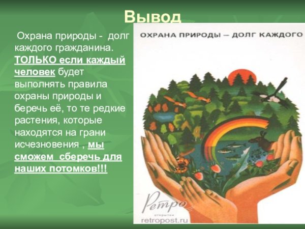 Коллаж защита природы