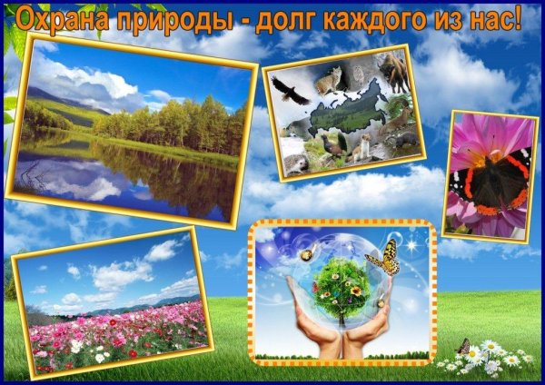 Береги природу