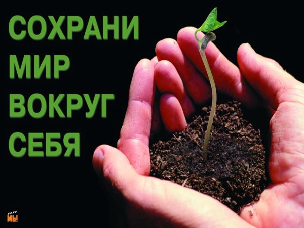 Бережем природу вместе плакат