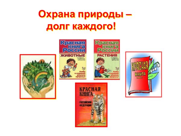 Плакатытна тему экологии