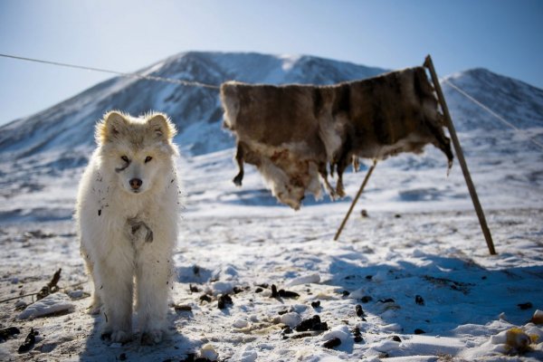 Чукчи природа