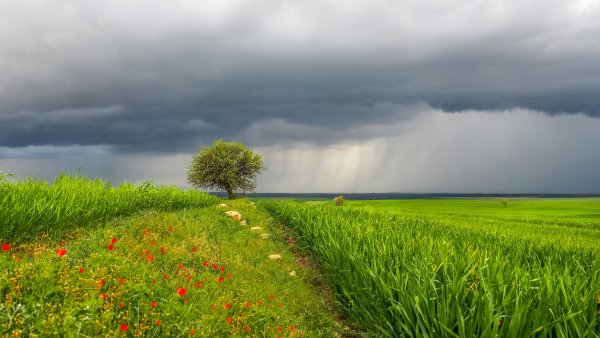 Фото Радуга после дождя
