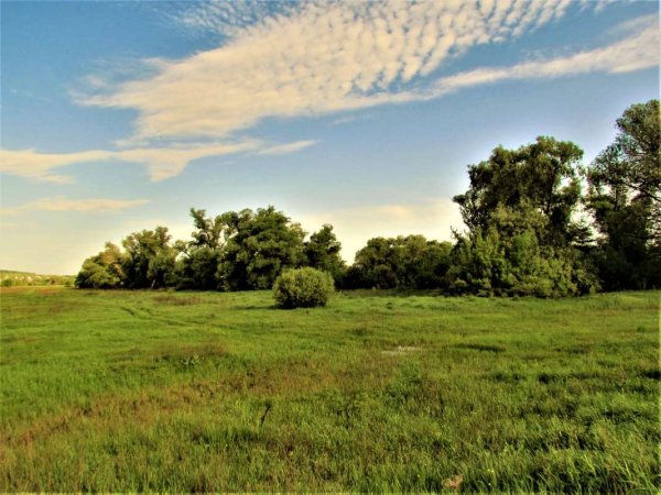 Природа Белгородской области