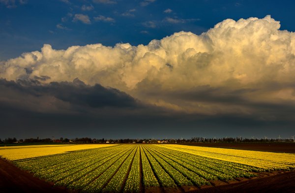 Нидерландия природа