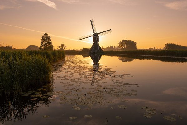 Киндердейк природа